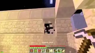 ТУСОВКА В ХРАМЕ!Неожиданное путешествие в Minecraft