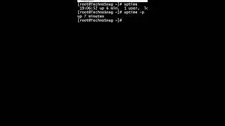Check System Uptime in Linux | Linux Commands | 