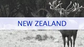6 seconds  Guided by Four Seasons Safaris