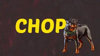What Does CHOP Means || Meanings And Definitions With Example in ENGLISH