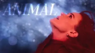 Bloom / Animal