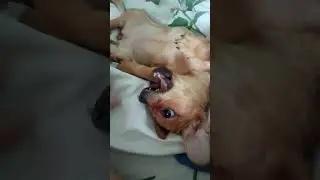 Маленькая Лети😁😍