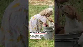 Their adorable antics are enough to bring smiles to hearts across the world