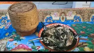 ทำแกงหน่อไม้ใส่ย่านางสูตรยายคำผลบ้านแพง