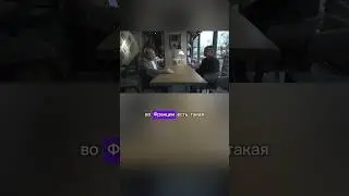 Зачем гоночным голубям конопля? #конопля #голуби #семена #суперфуд #сельскоехозяйство #соревнования
