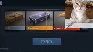 Я: я отойду кот ни чего не трогай! Так же мой кот: