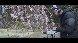 ELEKTRON Model:Samples 9