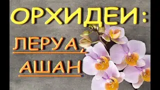 ЛЕРУА,Ашан:ЗАВОЗ прекрасных ОРХИДЕЙ,05.06.20,Самара,ТЦ 