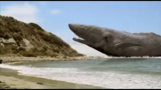 Moby Dick