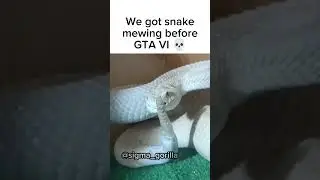 Snake Mewing 🤫🧏 - Meme 🦍