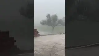 Epic rain ⛈⛈ #rain #reels