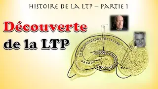histoire de la LTP  - partie 1 : la découverte