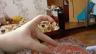 ВСЕМ ПИРИВЕТ!🌺