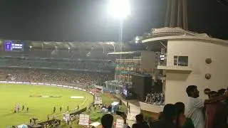 WPL | DY Patil
