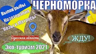 ЧЕРНОМОРКА 2021 Вылов рыбы! Козотерапия! ресторан "Козы и матросы" Эко-туризм в Одесской области!