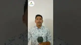 NJ FLEXI CAP FUND REVIEW | NJ FLEXI CAP NFO | WEALTHFUNDAS| #ytshorts #shortsyoutube #njwealthfund