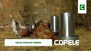 Metal Poultry Feeder | Copele