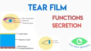 TEAR FILM AND ITS FUNCTIONS