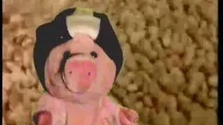 Bacon Rap™ #1 Pointless Peanut Butter Rap