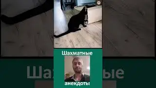 Шахматный анекдот. Партия с директором! 