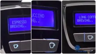 The Blue Pod Coffee Co Easy Touch
