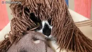 Весёлые ролики с кошками и котами) очень смешное видео!