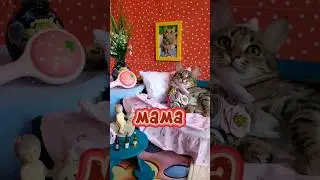 Мама 