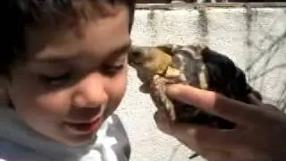 Turtle Talk: Jeremy