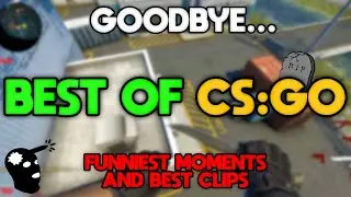 BEST of CS:GO | Funniest moments