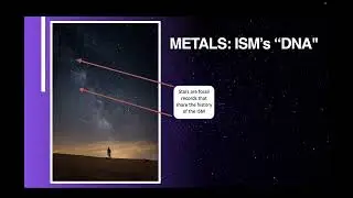 Galactic chemical evolution with phylogenetic techniques – Prof Paula Jofré