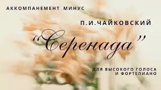 П. И. Чайковский. "Серенада"