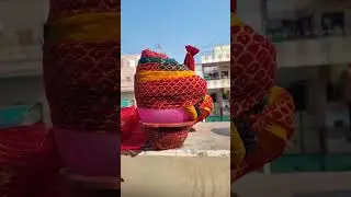 #pagdi #rajputiculture #funny #rajasthanibags #song #baisacollection #baisalook #dance wholesale