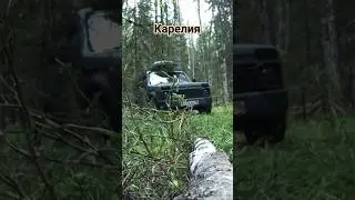 Всё дальше и дальше в глубь Карельского Леса #карелия #история #приборныйпоиск