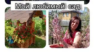 Мой любимый сад. Прогулка по цветникам часть 2