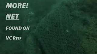 More net found on VC reef