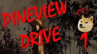 PINEVIEW DRIVE / Двери, ключи, ключи, двери... УЖАС #1