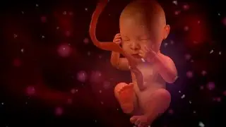 18+ Факты про ЭТО