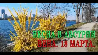АВСТРИЯ. ВЕНА 18 МАРТА..ПРОСТО ВЕСЕННЕЕ НАСТРОЕНИЕ....