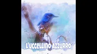 #UCCELLI