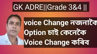 ADRE 2.0 3rd Grade &4th Grade || Voice Change @masterofgrammar