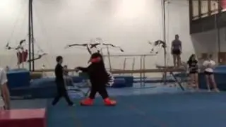 AeroVid