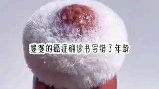 （别样癌症)好看的小说推荐。婆婆的癌症确诊书写错了年龄，让全家都以为得癌症的是我。毕竟我们同名同姓。老公连夜给三发消息：