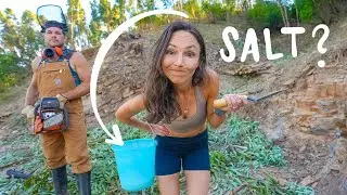 THIS is how we are FIREPROOFING our 7 ACRE HOMESTEAD in PORTUGAL.