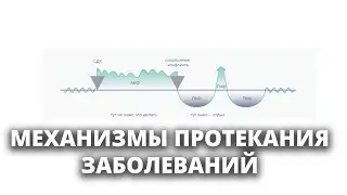 КАК ФОРМИРУЮТСЯ БОЛЕЗНИ | Фаза конфликта