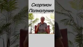 Полная версия на канале