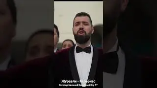 #журавли #госхоррт #бернесжуравли #гкхрт #shorts #short #shortvideo #татарстан #казань #мывместе