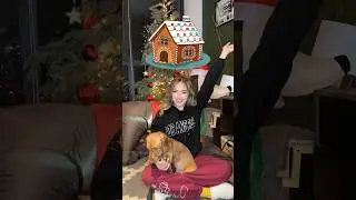 Hice una SESIÓN DE FOTOS navideña con mi PERRITO 🎄🐶🌭❤️