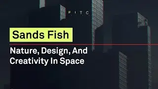 Nature, Design, And Creativity In Space - Sands Fish