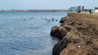 #АНАПА