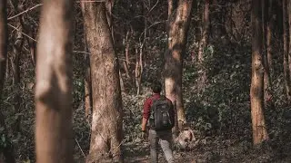 You Are Making Videos Wrong